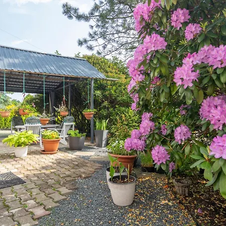 Karkonosky - Zacisze Azalia * كارباش